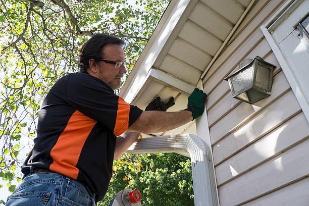 Best Hoarding Cleanup  in Perryville, MO